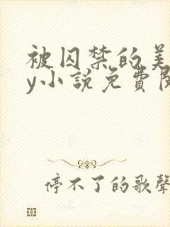 被囚禁的美人by小说免费阅读