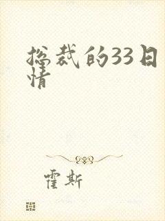 总裁的33日索情