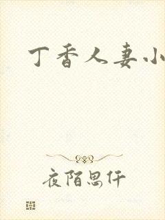 丁香人妻小说