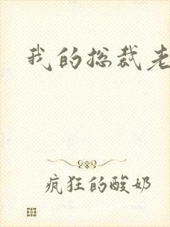 我的总裁老妈封面