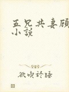 五兄共妻顾心儿小说封面