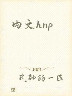 肉文hnp