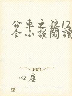 公车之狼12集全小说阅读