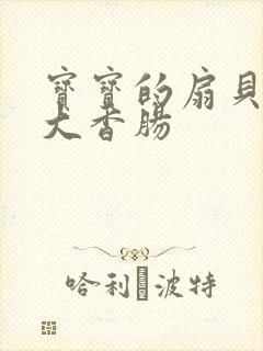 宝宝的扇贝想吃大香肠
