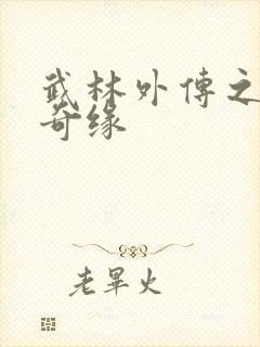 武林外传之同福奇缘封面