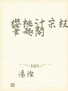 樱桃汁宋枝江野笔趣阁