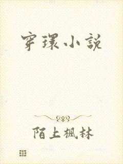 穿环小说