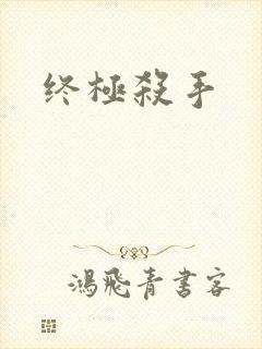 终极杀手