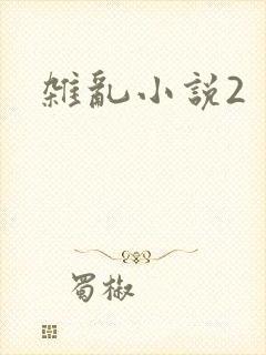 杂乱小说2