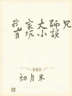 我家大师兄脑子有坑小说