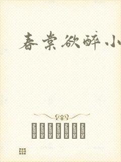 春棠欲醉小说