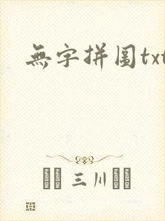 无字拼图txt封面