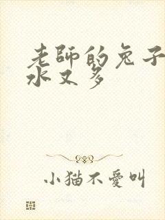 老师的兔子又软水又多
