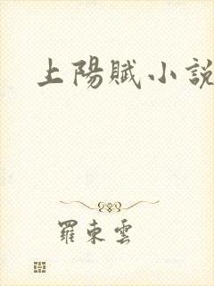 上阳赋小说封面