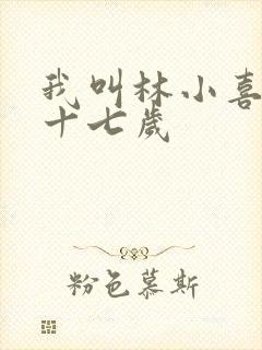 我叫林小喜今年十七岁