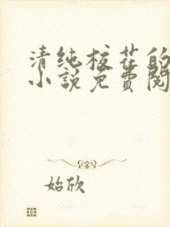 清纯校花的秘密小说免费阅读