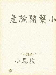 危险关系小说
