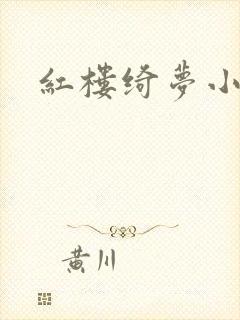 红楼绮梦小说