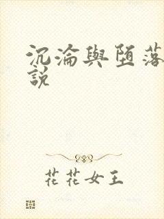 沉沦与堕落的小说