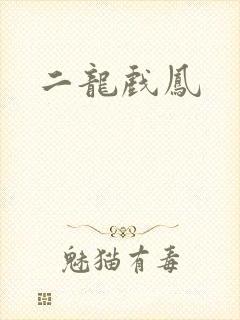 二龙戏凤