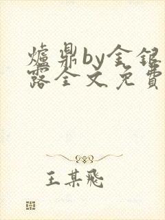 炉鼎by金银花露全文免费阅读笔趣阁