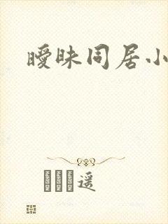 暧昧同居小说