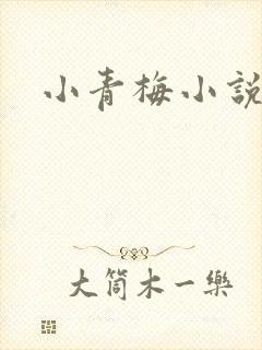 小青梅小说