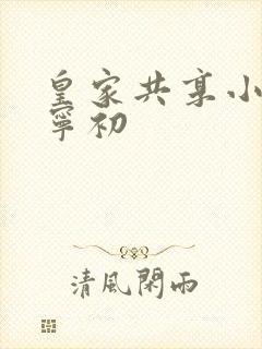 皇家共享小公主宁初