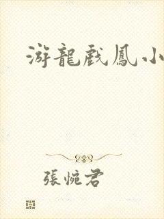游龙戏凤小说封面