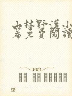 山林野汉小说全篇免费阅读封面