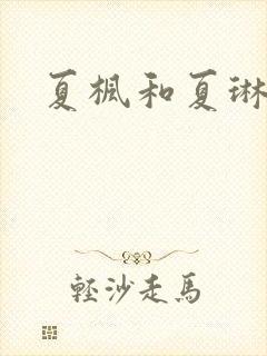 夏枫和夏琳封面