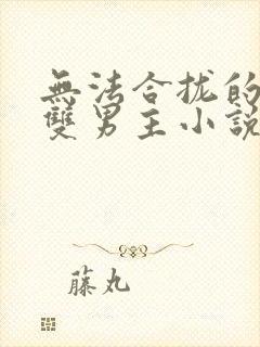 无法合拢的总裁双男主小说