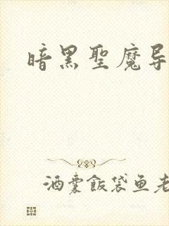 暗黑圣魔导
