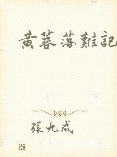 黄蓉落难记封面