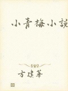 小青梅小说封面