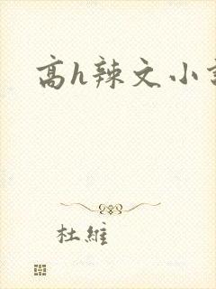 高h辣文小说