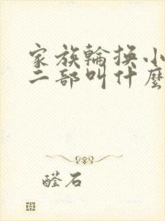 家族轮换小说第二部叫什么名字