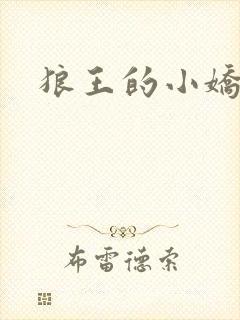 狼王的小娇妻