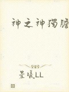 神之神独胆王