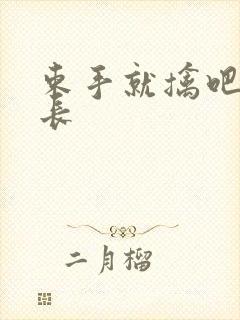 束手就擒吧韩队长