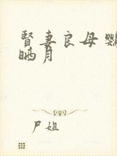 贤妻良母 鹦鹉晒月封面