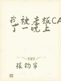 我被老板CAO了一晚上封面