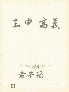 王申 高义