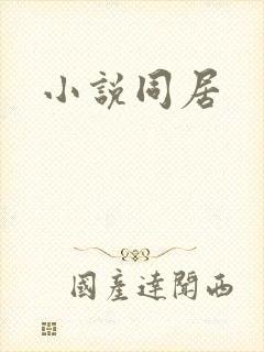 小说同居