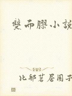 双面胶小说封面
