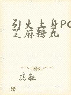 引火上身POP芝麻糖丸