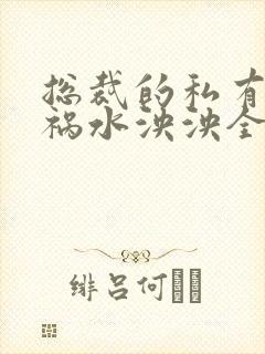 总裁的私有宝贝祸水泱泱全文阅读