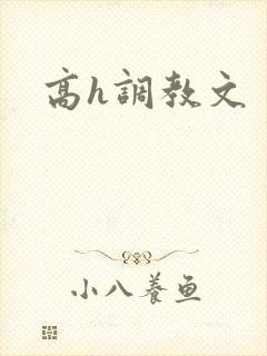高h调教文