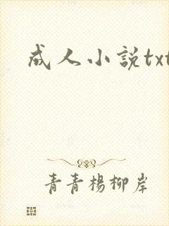 成人小说txt