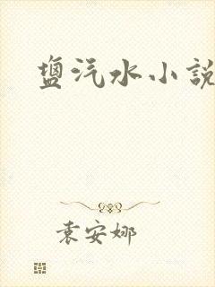 盐汽水小说